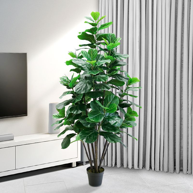 Fiddle Leaf Fig - 35-150cm Tropikal Ağaç Büyük Yapay Ficus