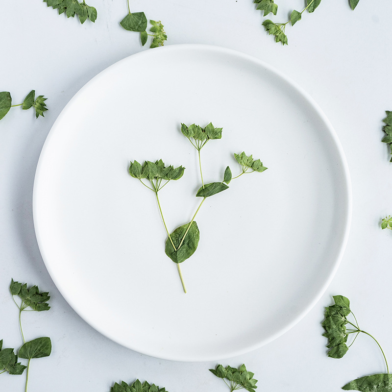 Plant Parent Sticker - 60 Adet Dallı Tavşan Kulağı Çimi,