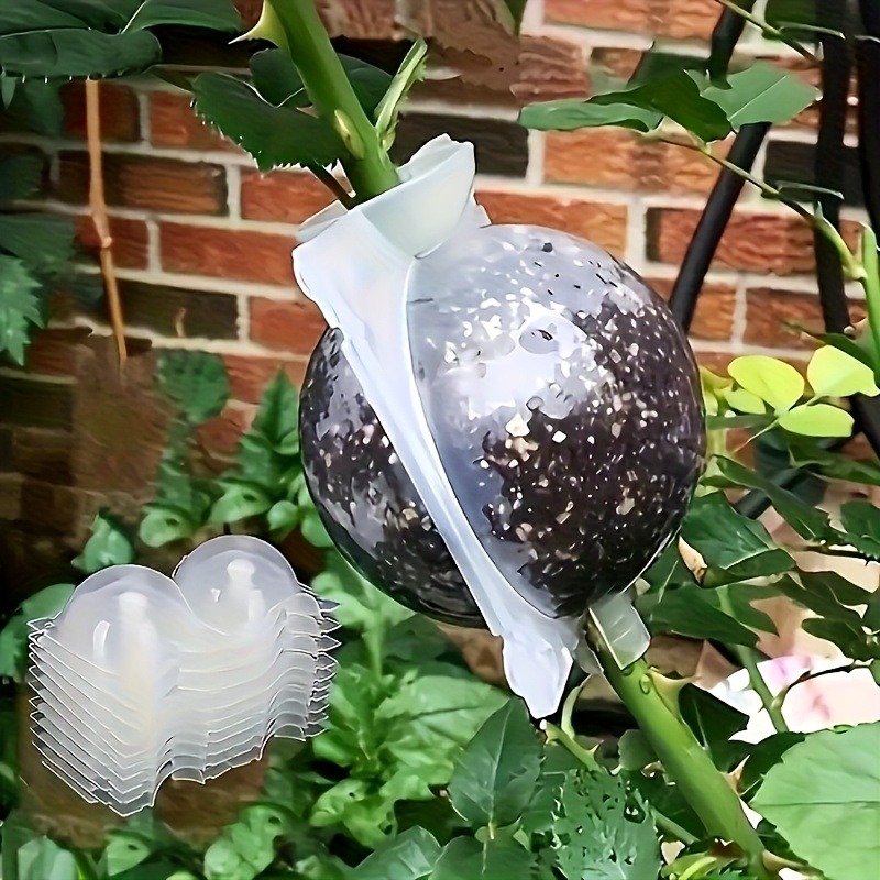 Plant Parent - 10 adet Bitki Çoğaltma Kutusu Seti,