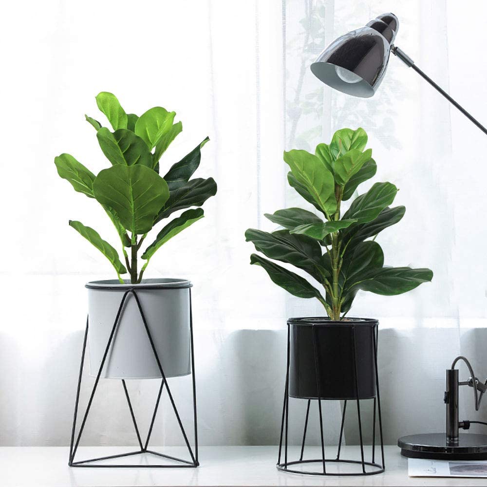 Fiddle Leaf Fig - AB33-2 Adet Yapay Keman Yaprağı İncir