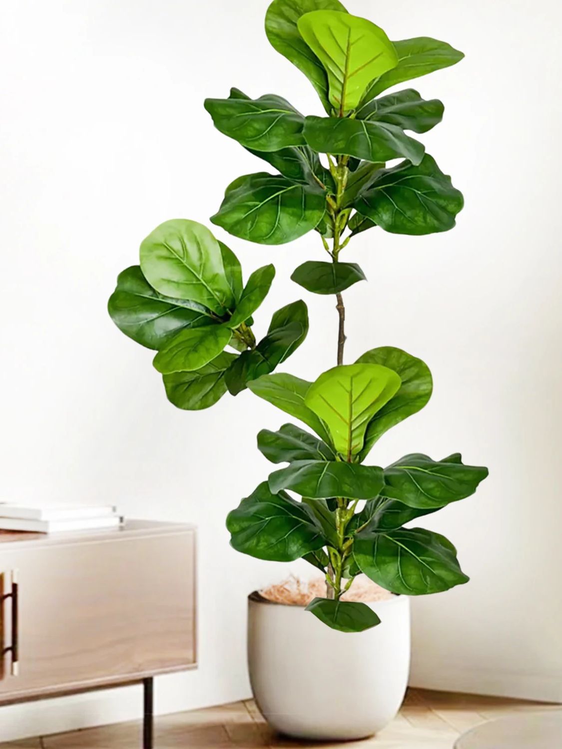 45-135cm Yapay Fiddle Leaf Fig - Fiddle Leaf Fig incelemesi ve fiyatı