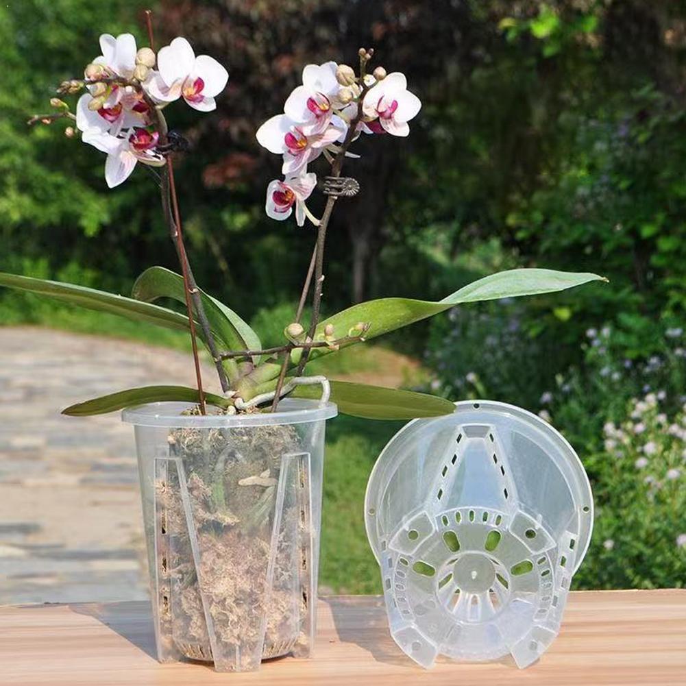 Plastik Kök Kontrolü Şeffaf Sa - Plant Parent incelemesi ve fiyatı