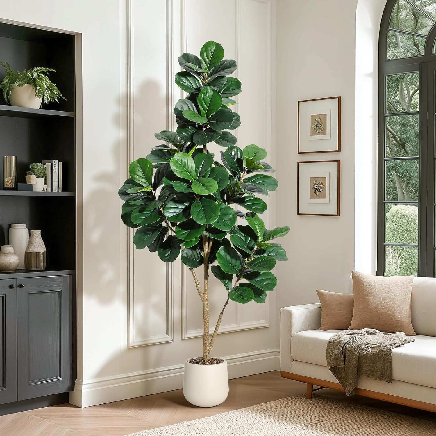 4-7 FT Fiddle Leaf Fig Ağacı Y - Fiddle Leaf Fig incelemesi ve fiyatı