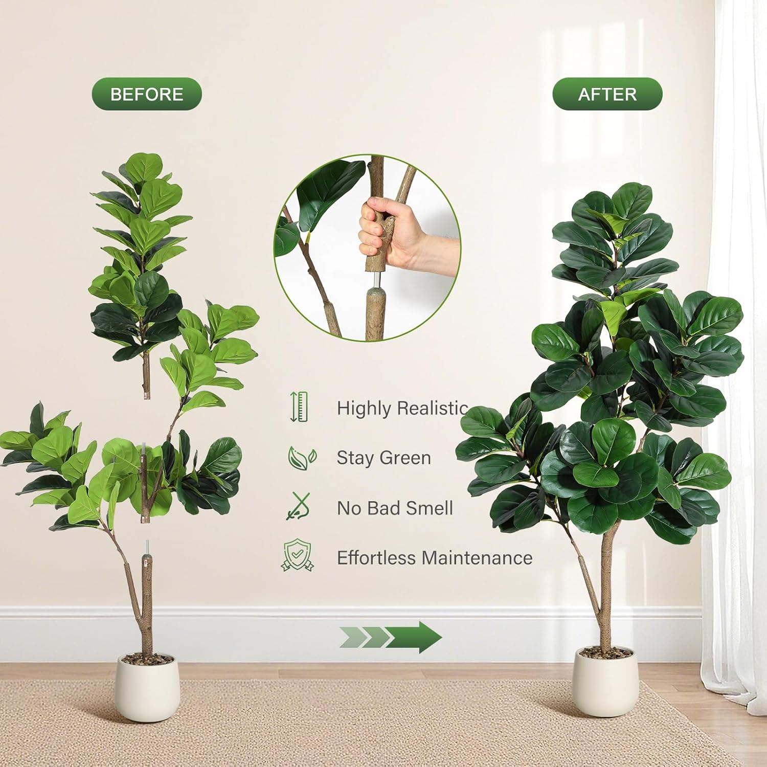 4-7 FT Fiddle Leaf Fig Ağacı Y - Fiddle Leaf Fig incelemesi ve fiyatı