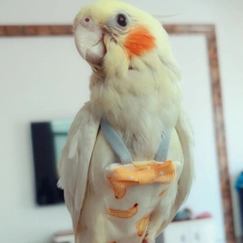 Papyon ile Papağan Bebek Bezi  - Plant Parenthood incelemesi ve fiyatı