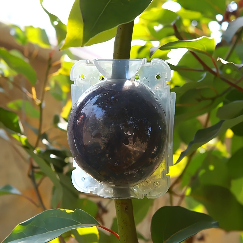 10 adet Bitki Çoğaltma Kutusu  - Plant Parent incelemesi ve fiyatı