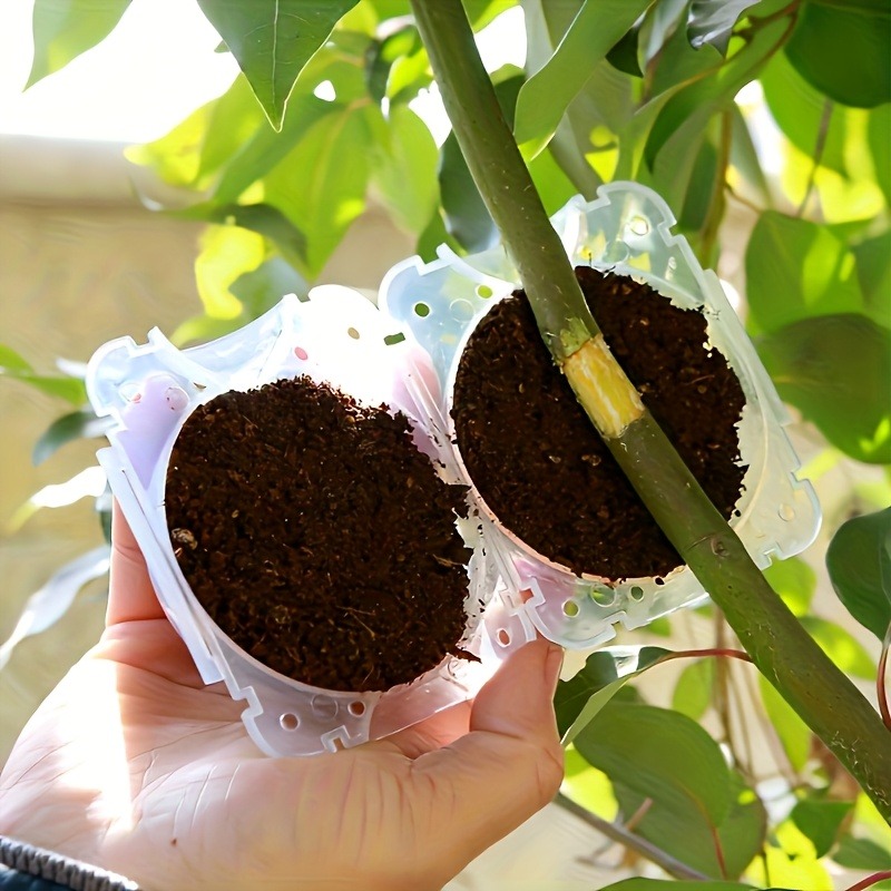 10 adet Bitki Çoğaltma Kutusu  - Plant Parent incelemesi ve fiyatı