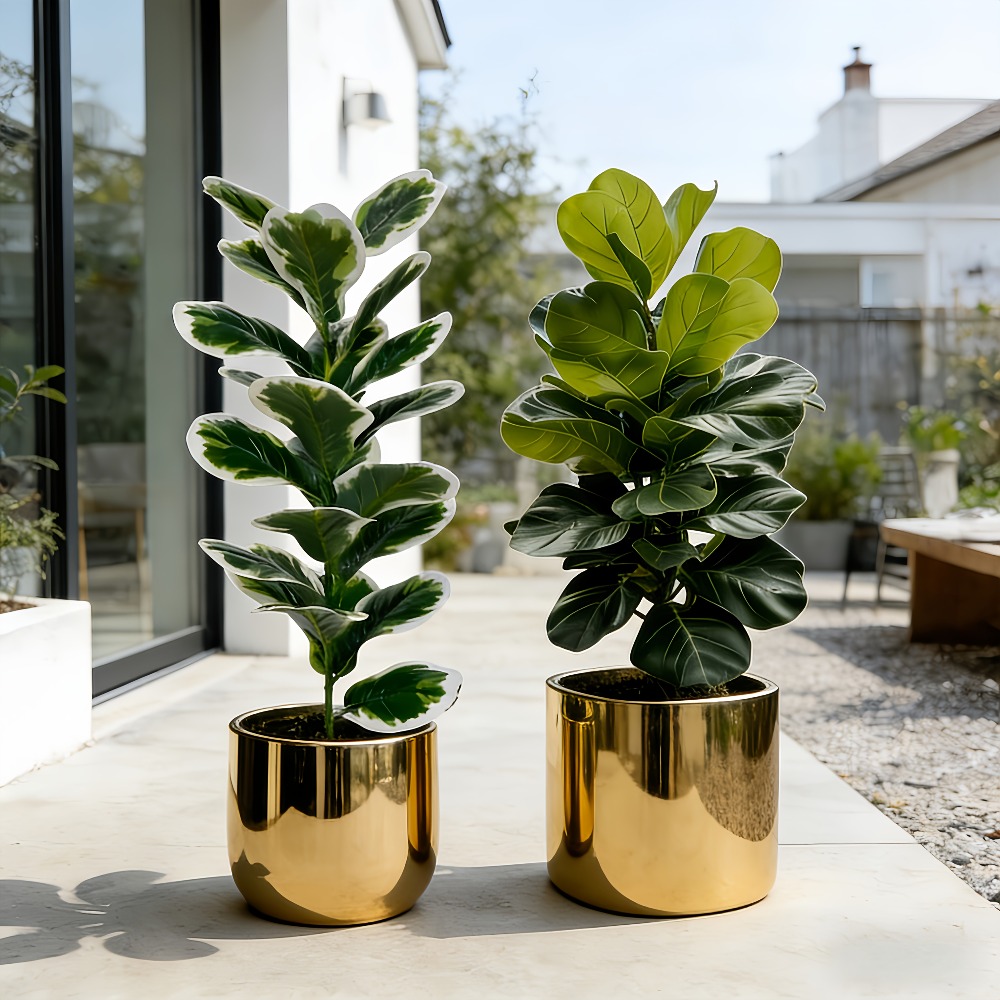 Dış Mekan Yapay Banyan Ağaçlar - Fiddle Leaf Fig incelemesi ve fiyatı