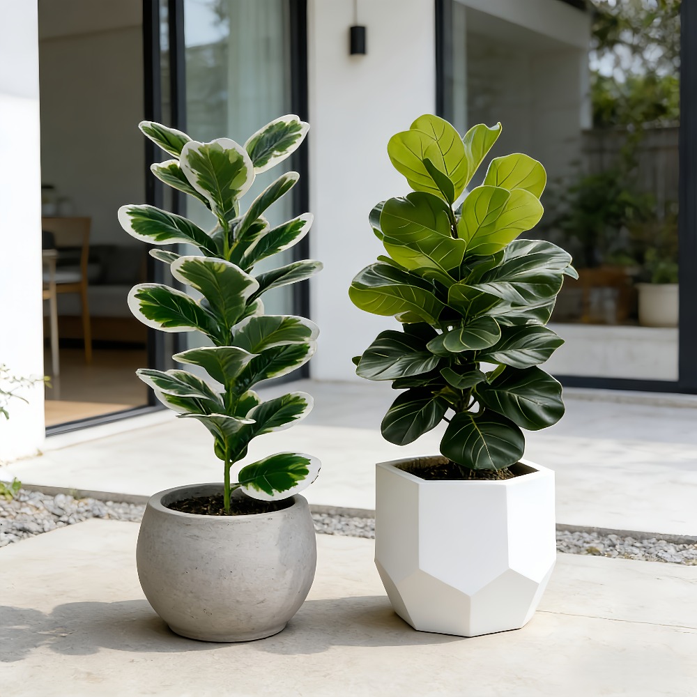 Dış Mekan Yapay Banyan Ağaçlar - Fiddle Leaf Fig incelemesi ve fiyatı