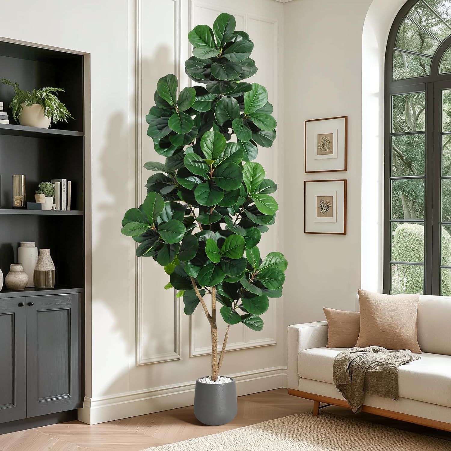 4FT/5FT/6FT/7FT Keman Yaprağı  - Fiddle Leaf Fig incelemesi ve fiyatı