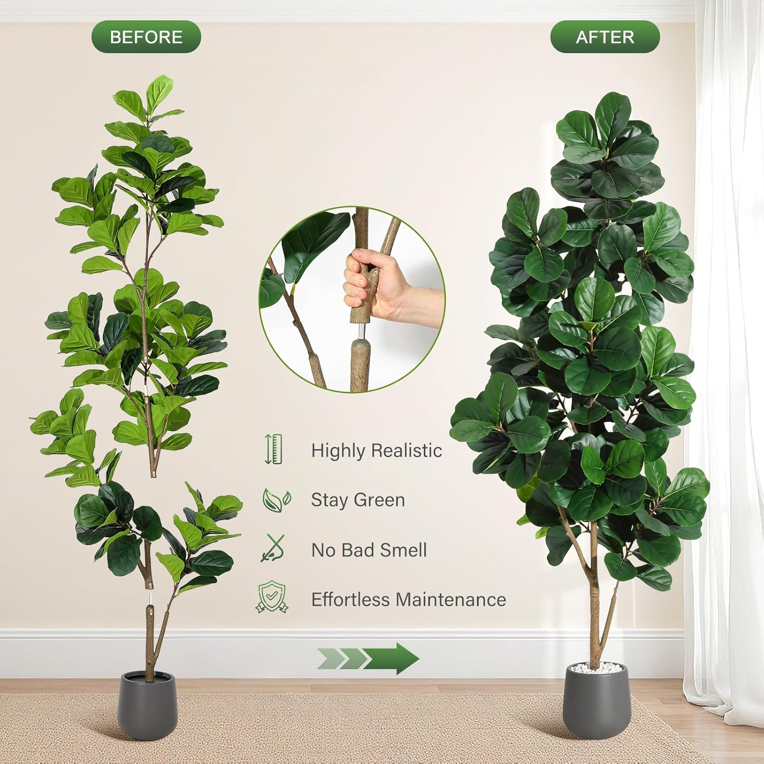 4FT/5FT/6FT/7FT Keman Yaprağı  - Fiddle Leaf Fig incelemesi ve fiyatı