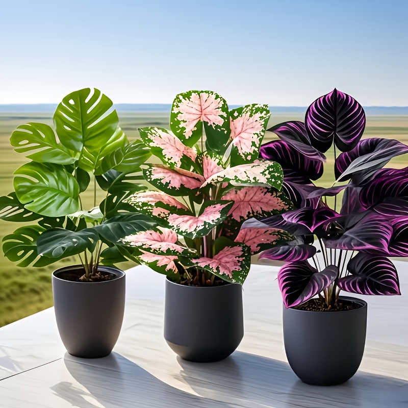 3 Adet Karışık Yapay Bitki Set - Fiddle Leaf Fig incelemesi ve fiyatı