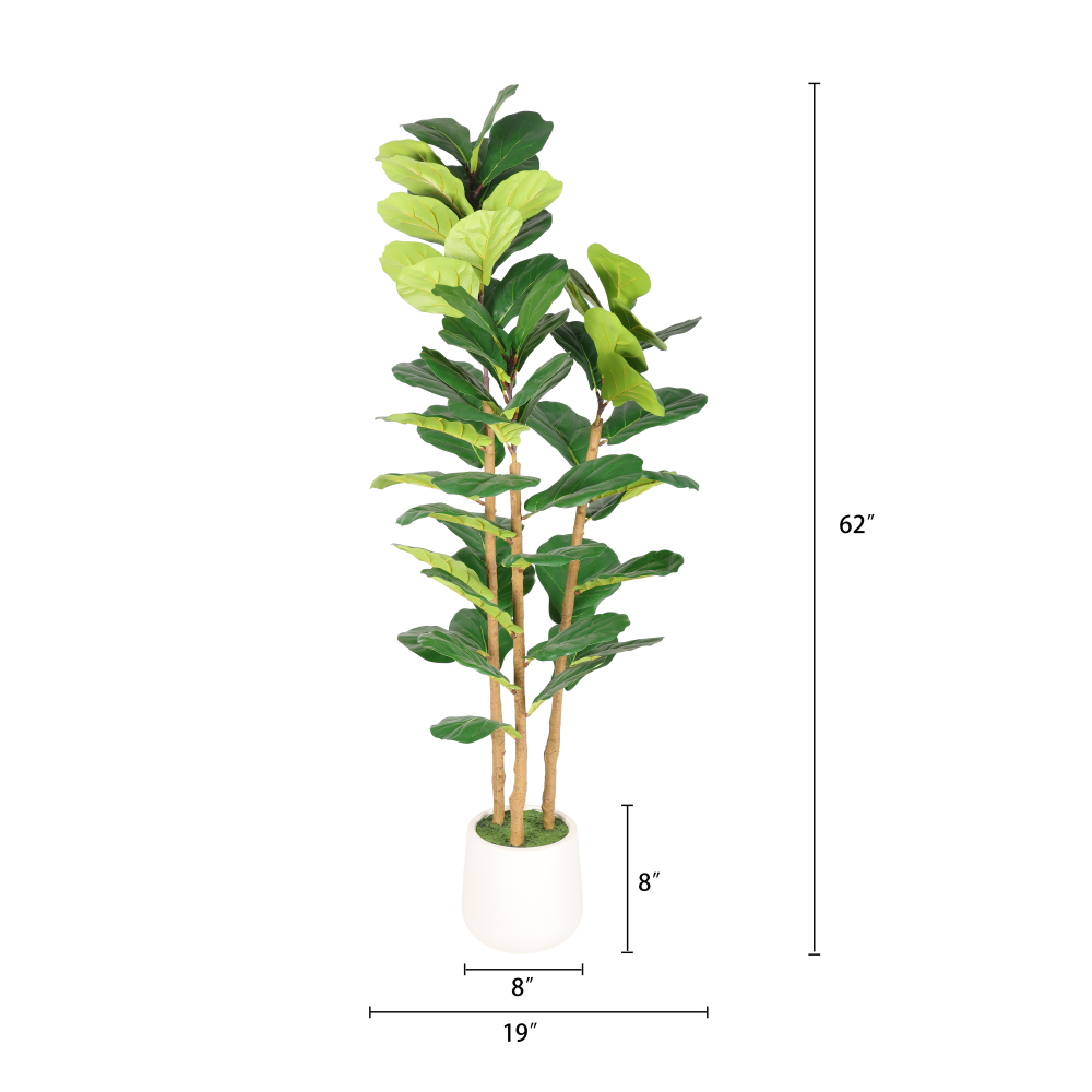 5.2FT Yapay Keman Yapraklı İnc - Fiddle Leaf Fig incelemesi ve fiyatı
