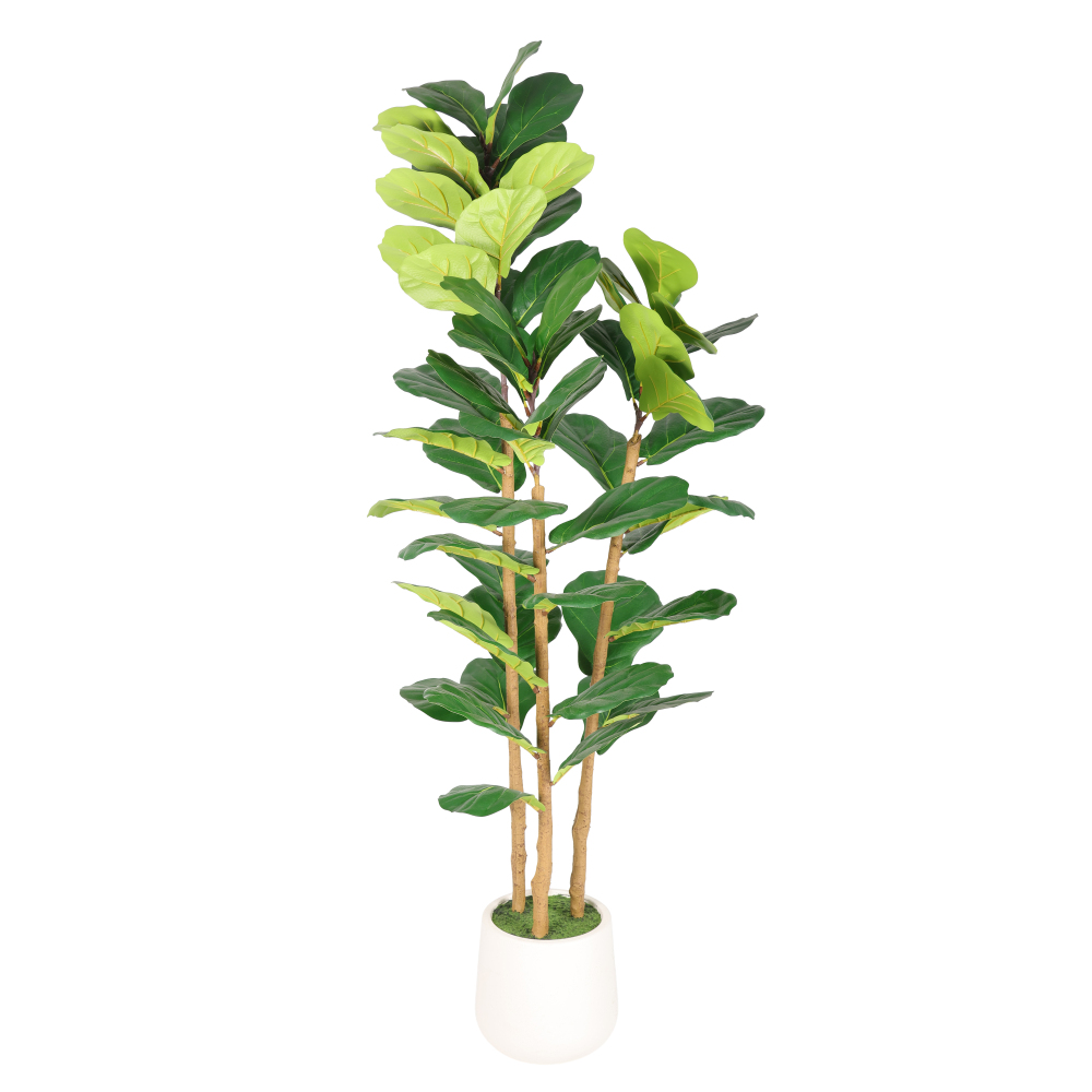 5.2FT Yapay Keman Yapraklı İnc - Fiddle Leaf Fig incelemesi ve fiyatı